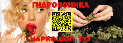 гидропоника Пугачёв