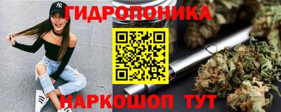 гидропоника Пугачёв